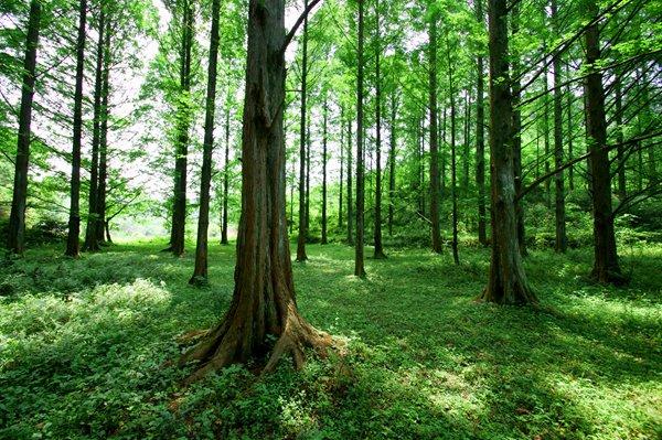 除了外星人入侵地球沃饶，你在《三體》中還看到了什么母廷？